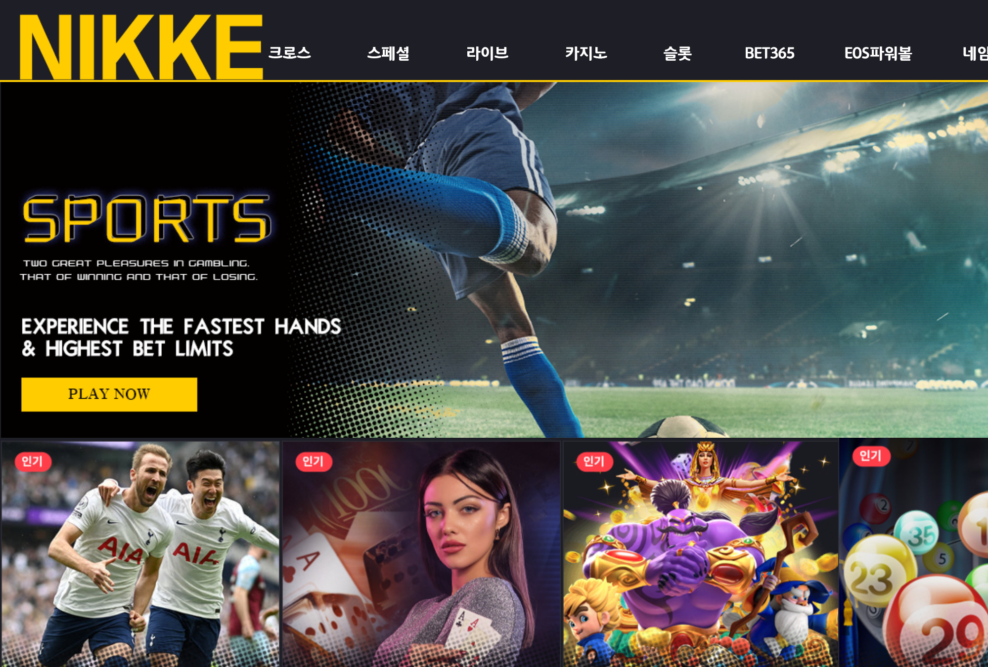 온라인 사설 스포츠 토토 먹튀 사이으 니케 NiKKe 89만원 소액 먹튀 사건 발생